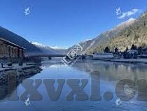 麻豆91入口-麻豆91，深度洞察网络世界的另类风景