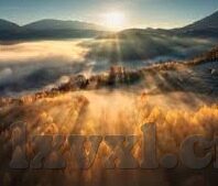 麻豆av免费在线观看-挖掘互联网文明的边界，幻视与现实交织的视界