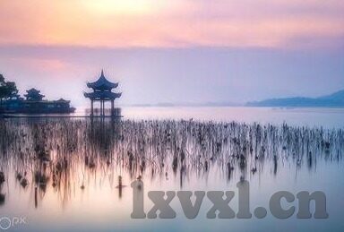糖心vlog科普-糖心Vlog，科学与生活交织的趣味科普之旅